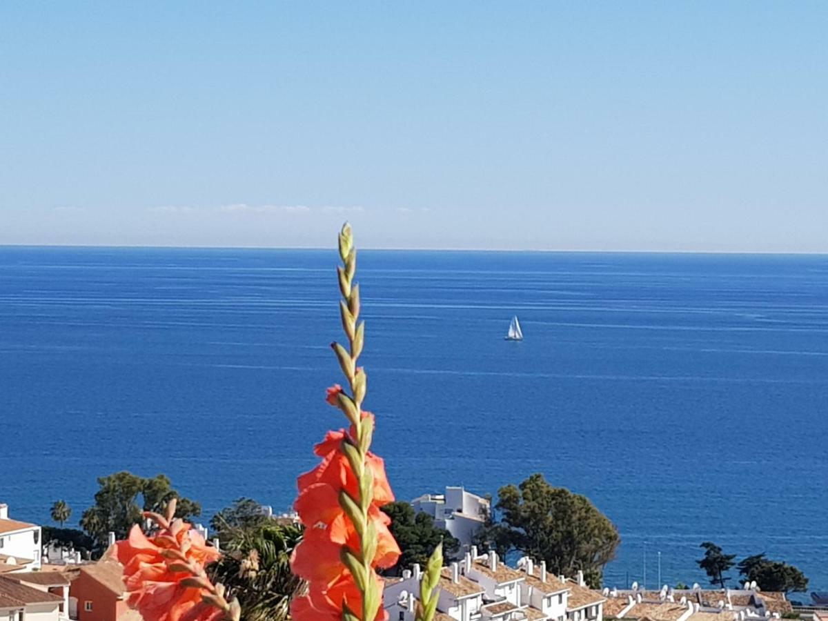 Garden Sea View Near *